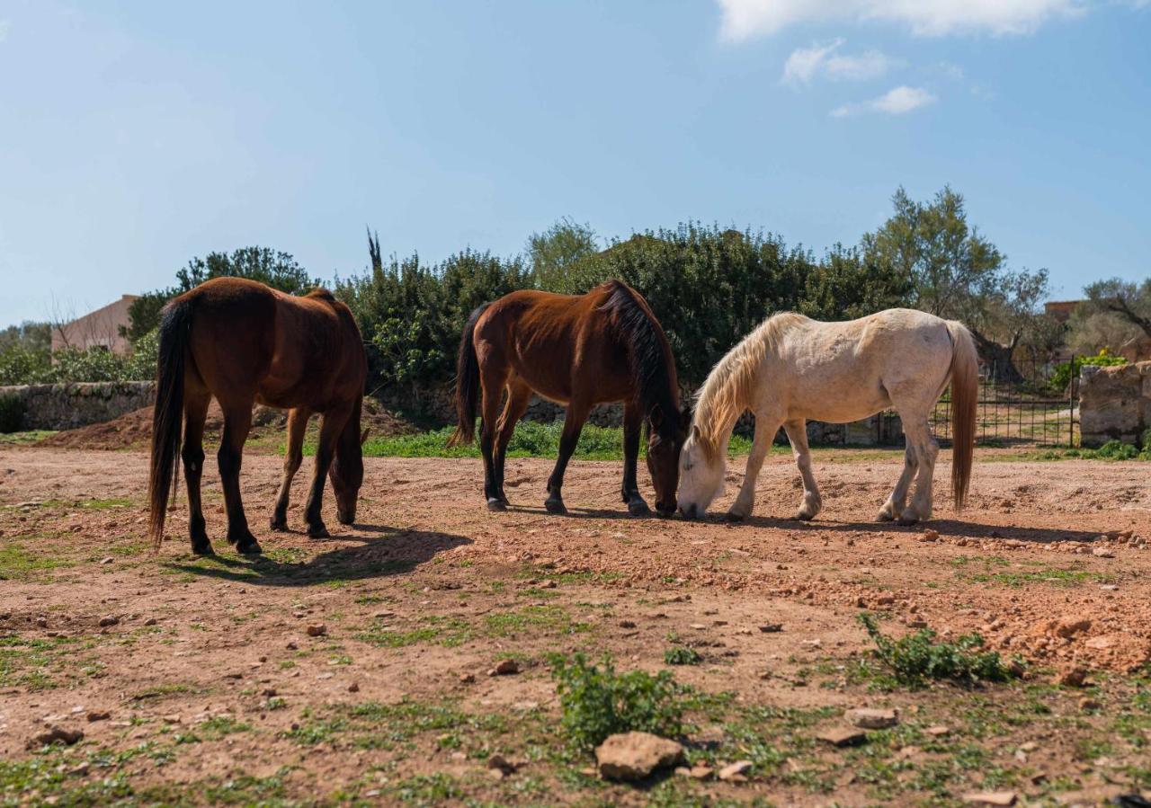 Agroturismo Sa Canoveta كولونيا سانت خورذي المظهر الخارجي الصورة