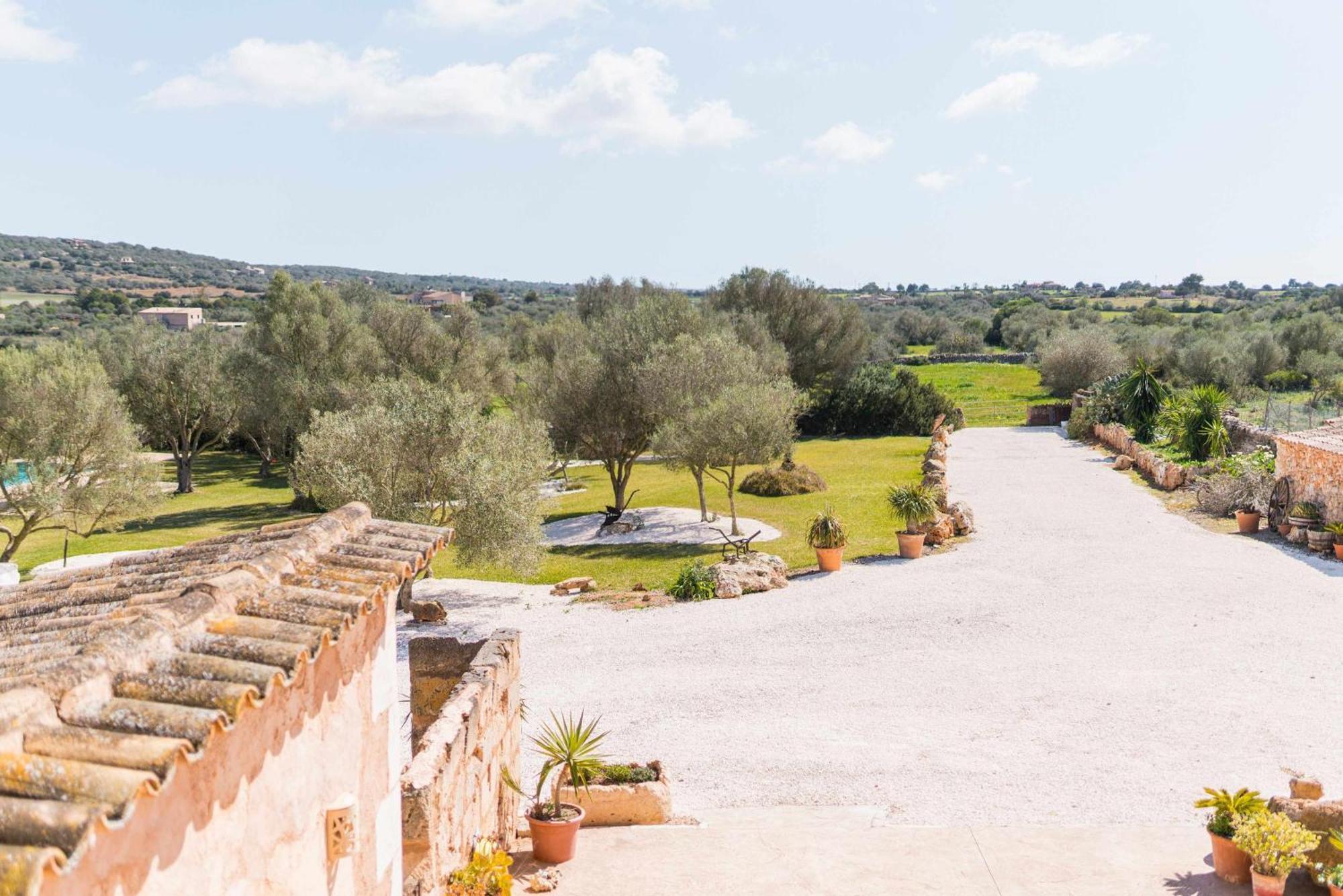 Agroturismo Sa Canoveta كولونيا سانت خورذي الغرفة الصورة